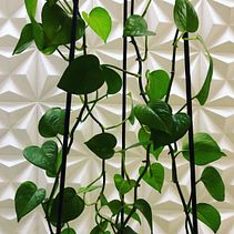 TN. Un proyecto de Diseño de interiores de alexis bacilio - 30.03.2024