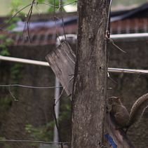 Meu projeto do curso: Fotografia para iniciantes: descubra sua câmera digital Ein Projekt aus dem Bereich Fotografie, Digitalfotografie und Fotografische Komposition von Gabriel Caetano - 07.04.2024
