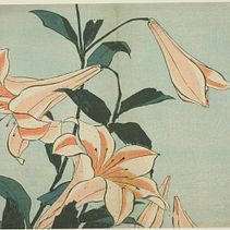 My project for course: Expressive Floral Painting with Acrylic Paint. Un proyecto de Bellas Artes, Pintura, Pintura acrílica e Ilustración botánica de Cliona Ryan - 07.04.2024