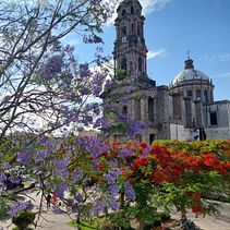 Mi proyecto del curso: Fotografía para principiantes: descubre tu cámara digital. Un projet de Photographie, Photographie numérique , et Composition photographique de JESUS GIOVANI LARA TOSCANO - 25.04.2024