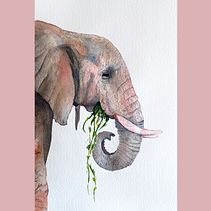 Éléphant. Naturalistic Illustration, and Watercolor Painting project by Karine LaSalle - 05.05.2024