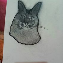 Mascotas. Realistic Drawing project by Jesús Rey Castillo Hernández - 05.05.2024