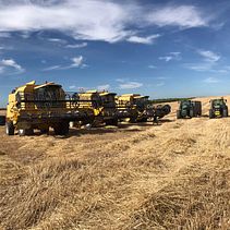 Mi proyecto: Cosecha año 2021. Film, Video, TV, Film, Filmmaking, and Animation project by Antonio Bustos - 05.28.2024