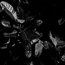 Mi proyecto del curso: Técnicas de ilustración para desbloquear tu creatividad. Un proyecto de Diseño, Ilustración tradicional, Bellas Artes, Pintura, Creatividad, Creatividad con niños y Sketchbook de Viridiana Villalobos - 29.05.2024