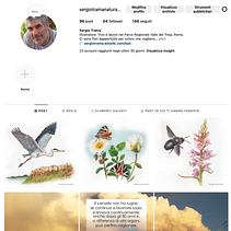 sergiotramanaturalmente  Creazione di portfolio su Instagram. Un proyecto de Ilustración tradicional, Redes Sociales, Gestión del Portafolio, Instagram, Ilustración digital, Diseño para Redes Sociales, Gestión y productividad							 de Sergio G. M. Trama - 05.06.2024