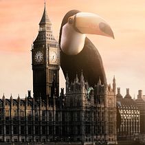 Mi proyecto del curso: Fotomontaje surrealista con Photoshop . % Cristal Diplan tarafından hazırlanan Fotoğraf Post Prodüksi, on, Fotoğraf Rötuşlama, Dijital Fotoğrafçılık, Fotoğrafik Kompozis, on, Ve Fotomontaj projesi - 07.09.2024