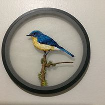 Projeto - pássaro em tule. Un proyecto de Artesanía, Bellas Artes, Diseño de interiores y Creatividad de Agnes Passos - 09.07.2024