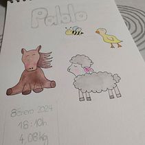 Cuadro de nacimiento. Un proyecto de Diseño, Dibujo y Pintura de Elisa Herrero - 13.07.2024