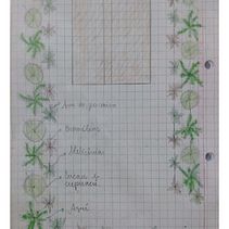 Meu projeto do curso: Design de espaços verdes para sua casa. Un projet de Pa, sagisme, Art floral et végétal , et Design d'espace de Rose Oliveira - 02.08.2024