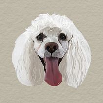 Ilustración de Mascotitas. Digital Illustration project by Gracia Paz Tejada Bazán - 05.05.2023