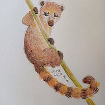 Mis proyectos anteriores. Projekt z dziedziny 3D, Projektowanie postaci, Animacje 3D,  R, sunek,  Malarstwo, Sketching i Malowanie akwarelą użytkownika Luz Marina Anger Bys - 27.08.2024