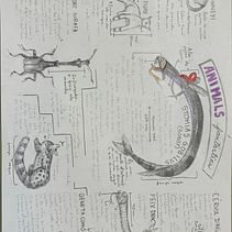 Animal Fantàstic Ein Projekt aus dem Bereich Bleistiftzeichnung von eithandennisss - 17.10.2024