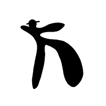 Kuxtal, spec work.. Design, Fashion Photograph, Art Direction, Br, ing & Identit project by Paloma Gardos - 07.31.2023