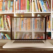 Biblioteca Virtual da Mia . % miriam_madeira_costa tarafından hazırlanan Web Geliştirme, Ve Programlama projesi - 12.20.2024