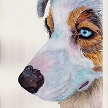 Logan. Een project van Realistische tekening, Traditionele illustratie, Naturalistische illustratie y Aquarelschilderen van Catalina Ionescu - 22.01.2025