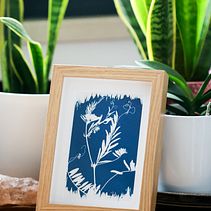 Framed Nature. Een project van Craft,  Beeldende kunst, Printen,  Analoge fotografie y DIY van Sandra Nascimento - 03.02.2025