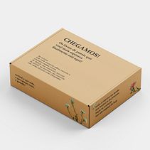 Book Packaging. Un proyecto de Br, ing e Identidad, Diseño, Diseño de producto, Diseño gráfico y Packaging de Beatriz Almeida Cavalcante Novaes - 09.02.2025