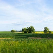 The beauty is in the eyes of the one who wants to see it.. Photograph, and Narrative project by Rafael Gadé - 03.23.2025