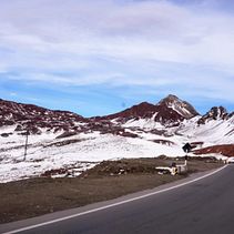 Disfrutando de la naturaleza Ein Projekt aus dem Bereich Fotografie von Giancarlo Bautista Reyes - 03.04.2025
