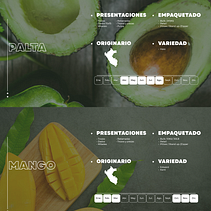 Catálogo Ara export Ein Projekt aus dem Bereich Grafikdesign, Br und ing und Identität von Sheyla Tamara Castillo Vásquez - 08.07.2025