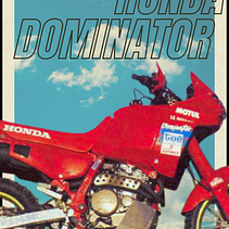 DOMINATOR . Graphic Design project by Chiara Petrosino - 07.28.2025