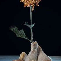 Chicken and Flower still life . % Joshua Weiner tarafından hazırlanan Güzel Sanatlar Fotoğrafçılığı, Yemek Fotoğrafçılığı, Ve Ürün Fotoğrafçılığı projesi - 09.14.2025