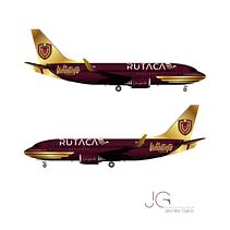 Diseño Gráfico Avión La Vinotinto Ein Projekt aus dem Bereich Grafikdesign von Jennifer Galviz - 17.09.2025