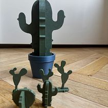 Kaktüs . % MATTEO PAMBIANCO tarafından hazırlanan 3D, Dijital İllüstras, Ve on projesi - 09.30.2025