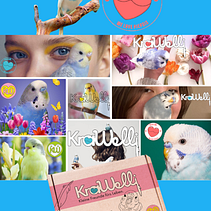 Krawelli – inspiriert von Wellensittichen. Een project van  Ontwerp, Fotografie, Marketing,  Br, ing en identiteit,  Creativiteit, Social media, Packaging, Stor, board,  Schetsen, Grafisch ontwerp, UX / UI y  Concept art van Kristin - 30.09.2025