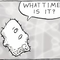 It's Amoeba Time 6-Panel Mini-Comic. Un proyecto de Cómic, Dibujo, Ilustración tradicional, Ilustración con tinta y Dibujo a lápiz de Frank Dellario - 15.11.2025