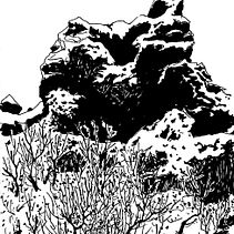 Postcard 1000. Traditional illustration, and Drawing project by Shok Han Liu - 07.06.2026