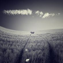 soñando paisajes