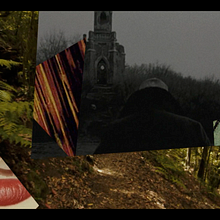 Lost Twin - Acuario De Plantas 2014