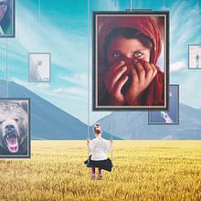 National Geographic Channel Idents