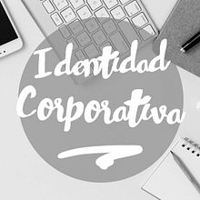 Manual de identidad corporativa ALSA