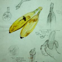 Drawings from a long time ago