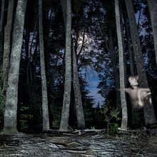 Después de caer del cielo