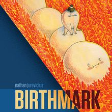 Birthmark - Graphic Novel