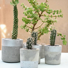 Mi Proyecto del curso: Creación de muebles en concreto para principiantes