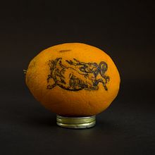 Mi Proyecto del curso: Tatuaje para principiantes