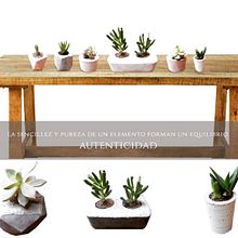 MI PROYECTO DEL CURSO