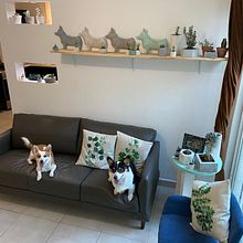 Mi Proyecto del curso: Decoración de sala 