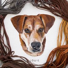 Coleção de retratos de animais de estimação 