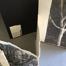 Mi Proyecto del curso: Encuadernación sin pliegues de tu obra gráfica