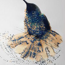 Mi Proyecto del curso: Naturaleza ilustrada: una exploración creativa
