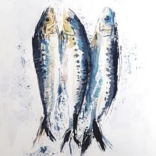 My project in Illustrating Nature: A Creative Exploration course