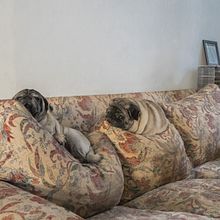 Meu projeto do curso: A primeira casa a gente nunca esquece