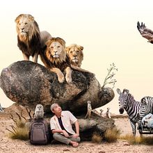 My project in Digital Collage in Photoshop: Composition and Visual Effects course