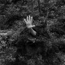 I Am The Forest - my project for the course Introduction to Narrative Photography 