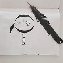 Inside a Creative Notebook : The Shadows Queen